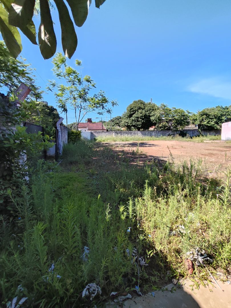 Lote EN ALQUILER