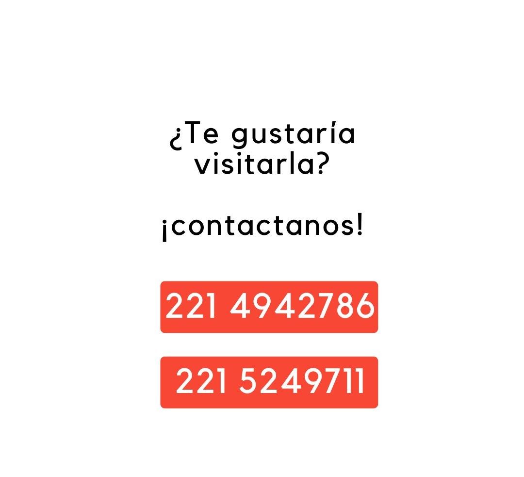 Imagen 15