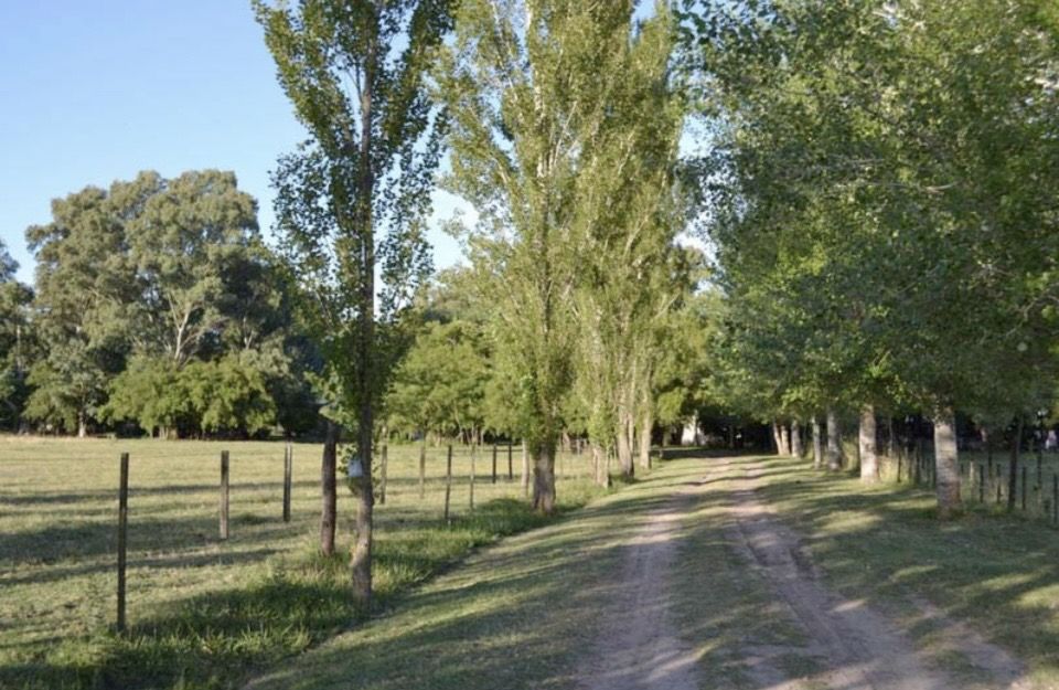 Campo EN VENTA