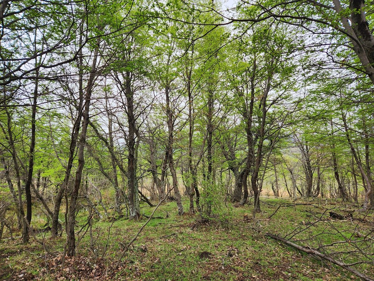 Campo EN VENTA
