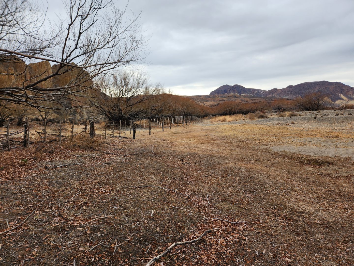 Campo EN VENTA