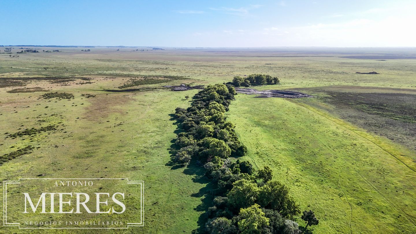 Campo EN VENTA