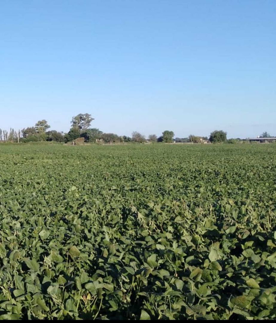 Campo EN VENTA