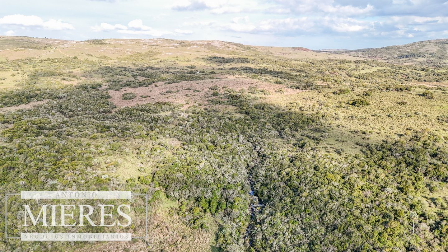 Campo EN VENTA