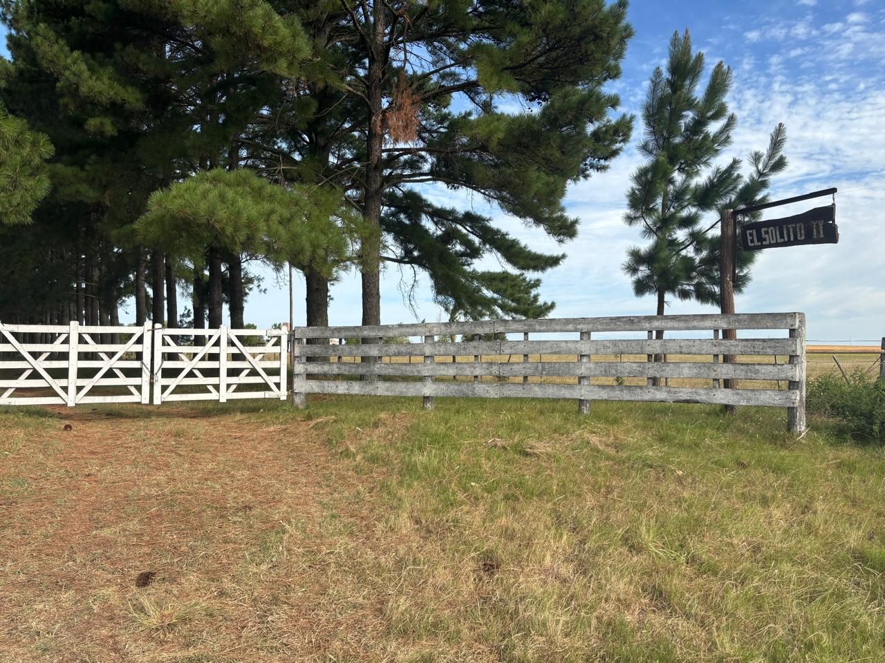 Campo EN VENTA