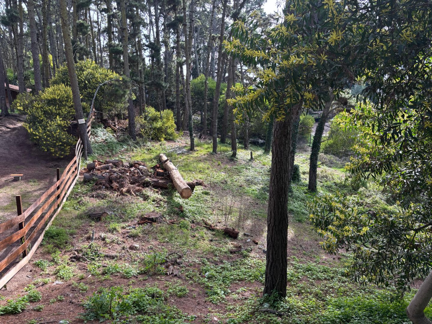 Lote EN VENTA