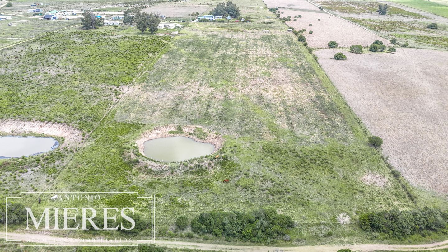 Quinta EN VENTA