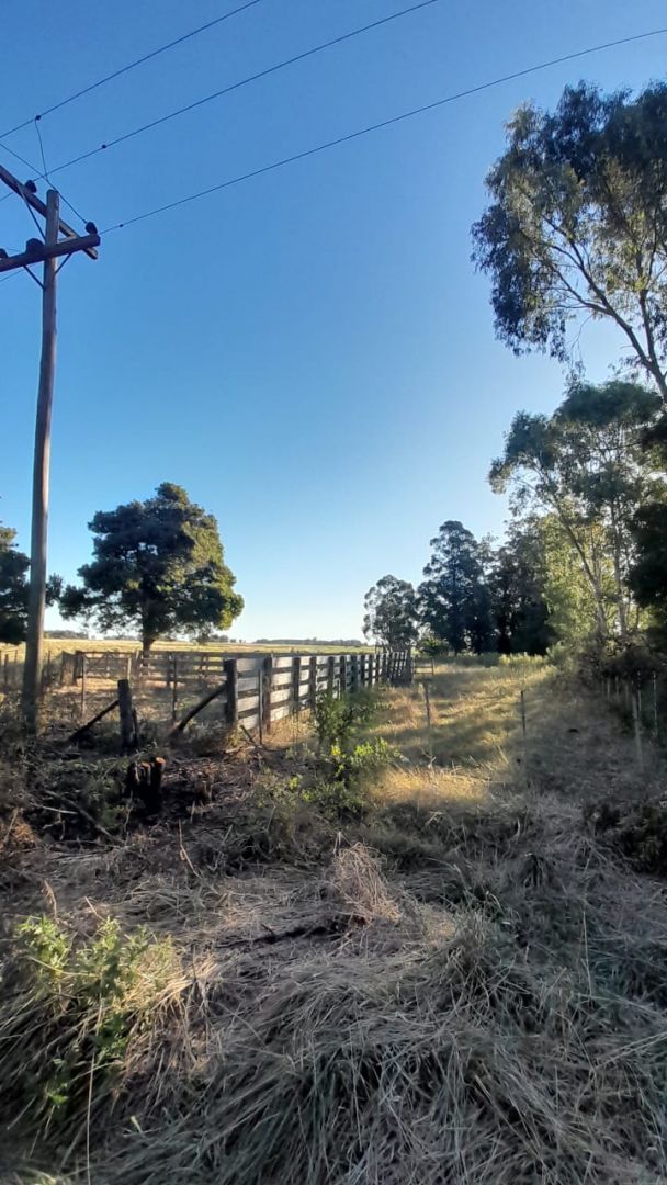 Campo EN VENTA