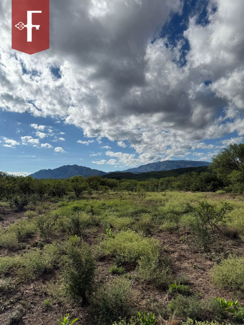 Lote EN VENTA