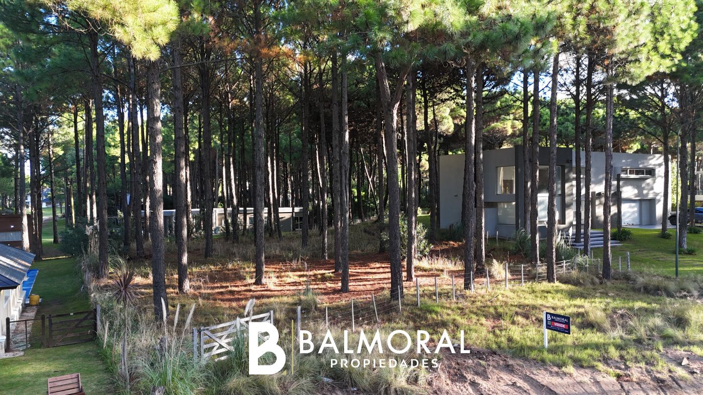 Lote EN VENTA