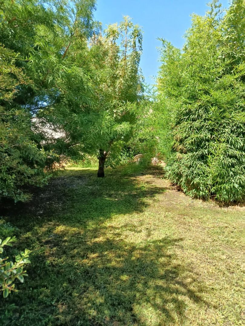 ALQUILER DE CASA EN Plottier - plotier - 23