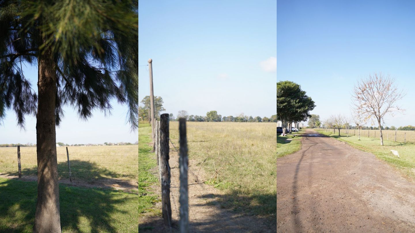 Terreno en Esperanza · foto 2