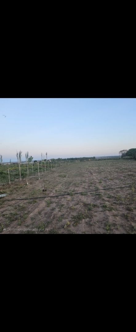 Lote en Venta en Lujan de Cuyo, Mendoza