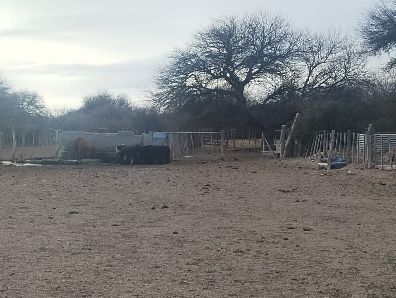 Campo EN VENTA