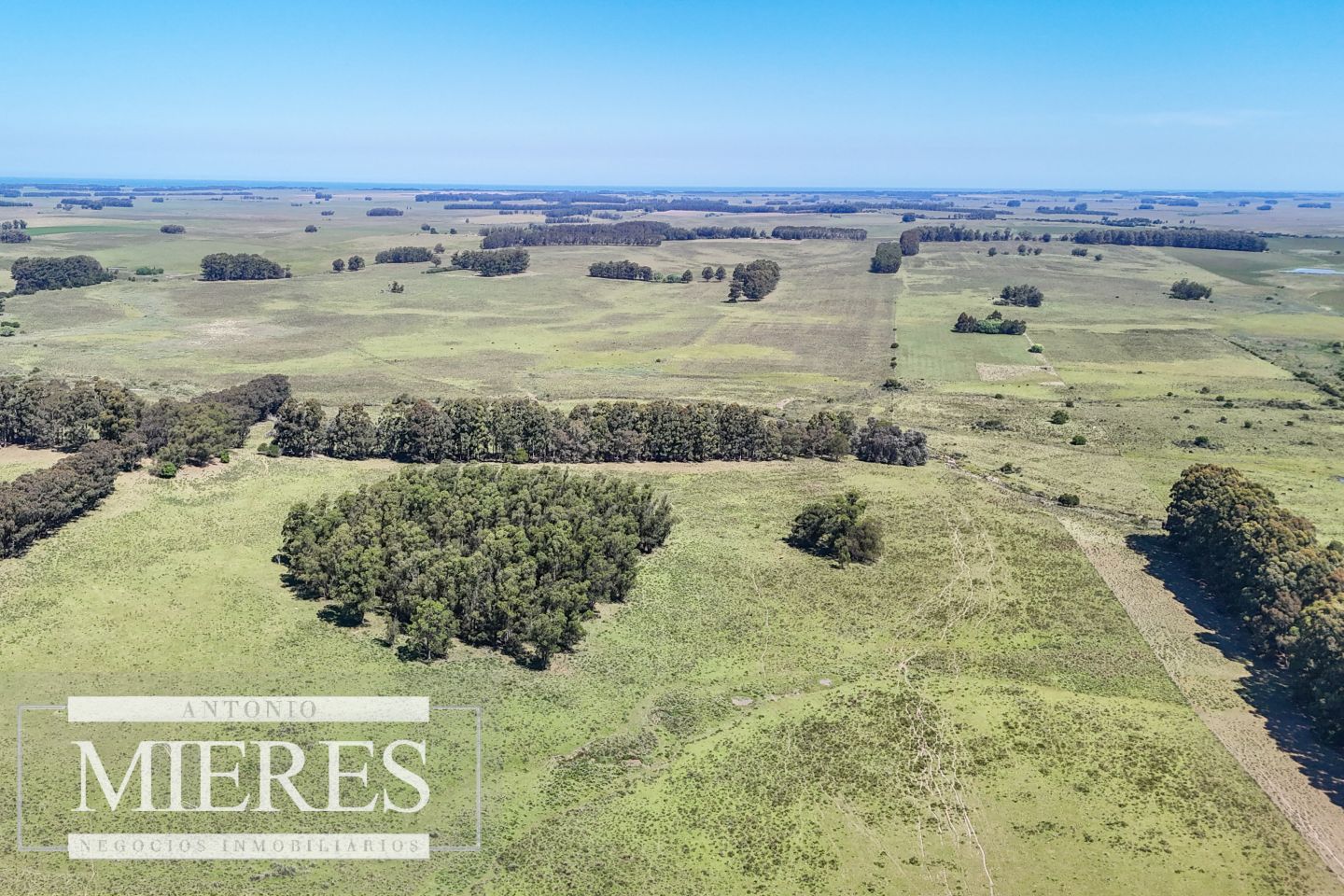 Campo EN VENTA