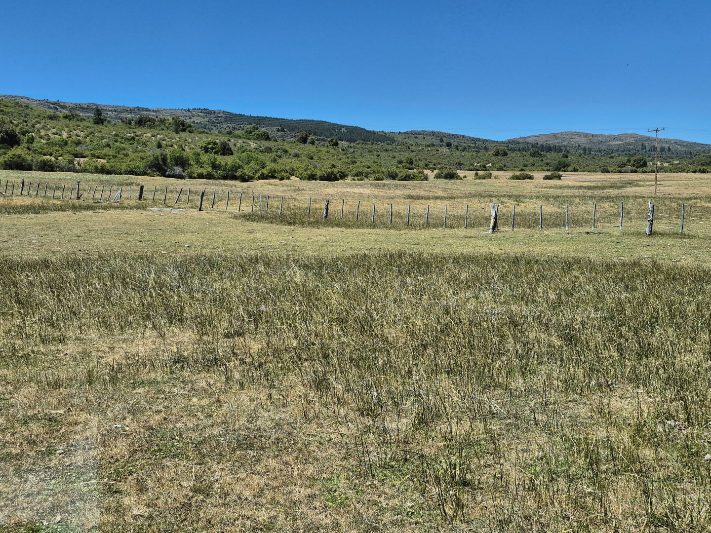 VENTA DE CAMPO EN Cholila - 22