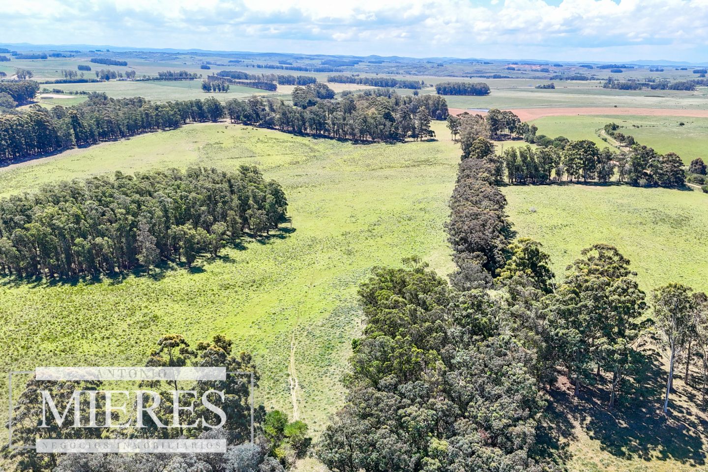 Campo EN VENTA