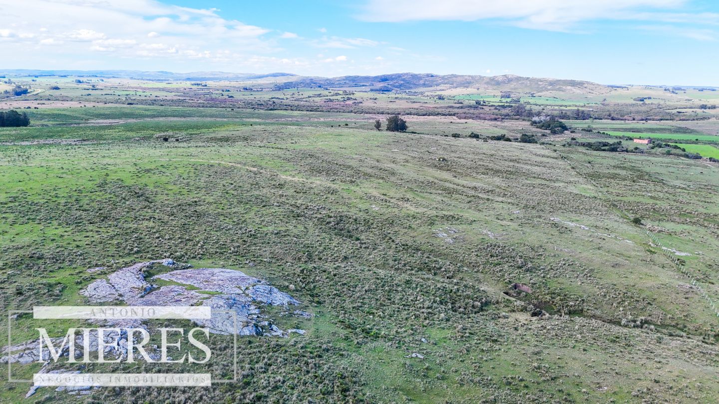 Campo EN VENTA