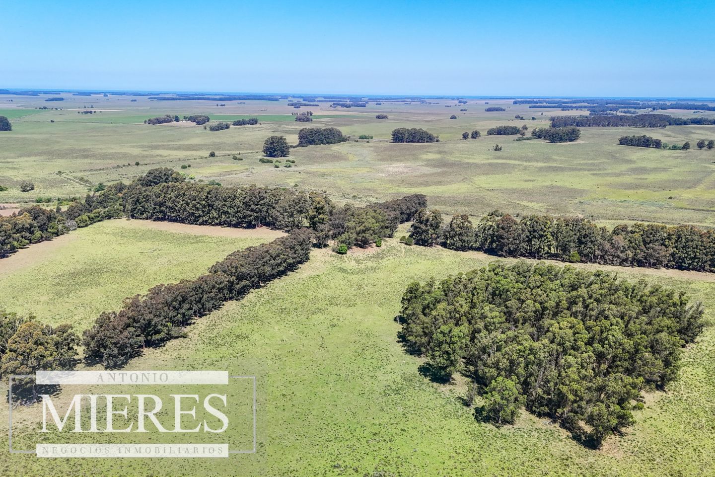 Campo EN VENTA