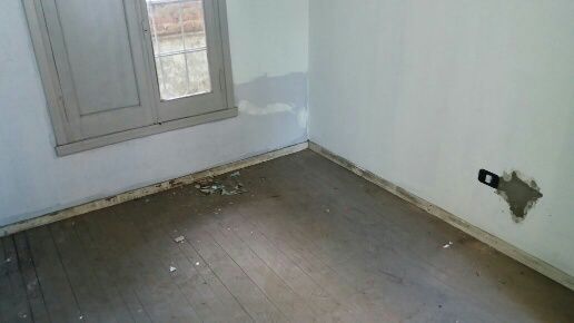 Imagen 9