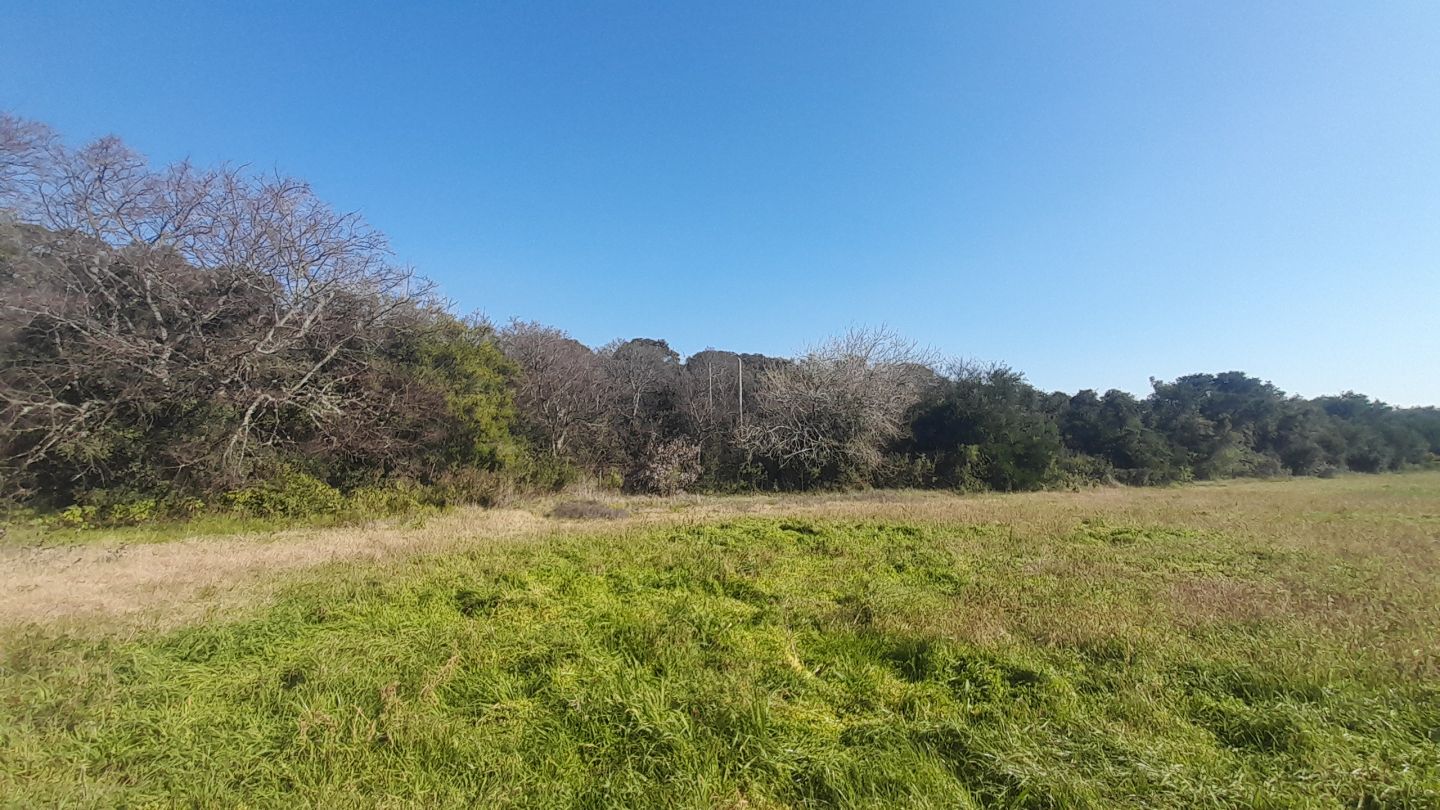 Lote EN VENTA
