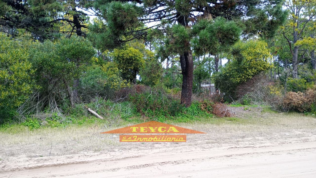 Lote en venta Norte 0 ambientes