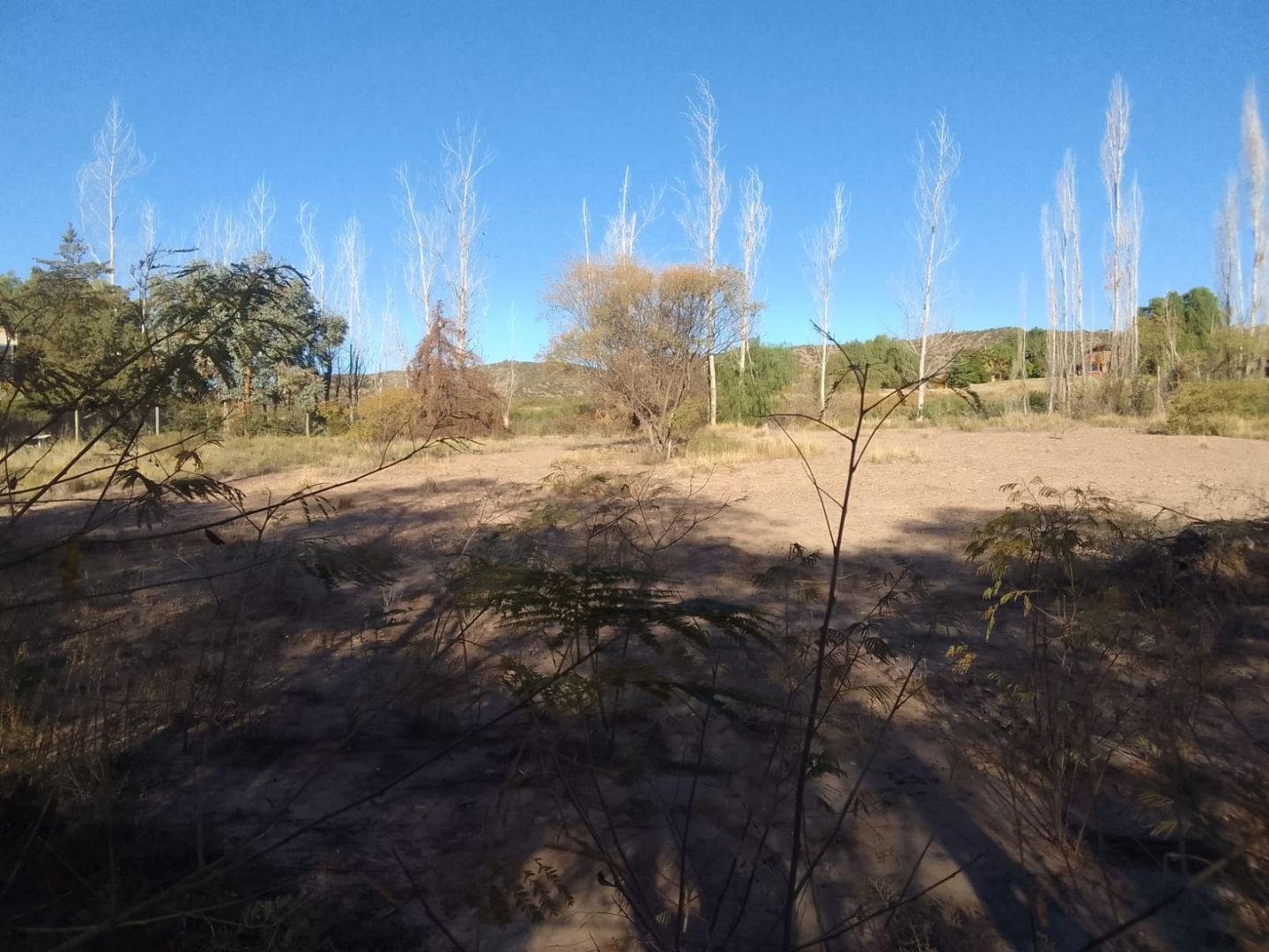 Lote en Venta en Lujan de Cuyo, Mendoza