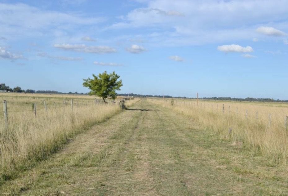 Campo EN VENTA