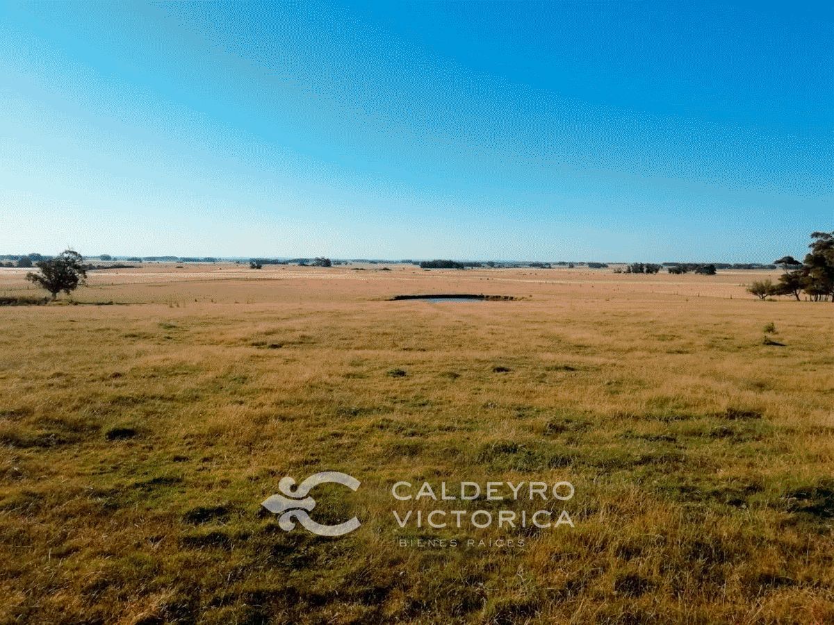 Campo EN VENTA