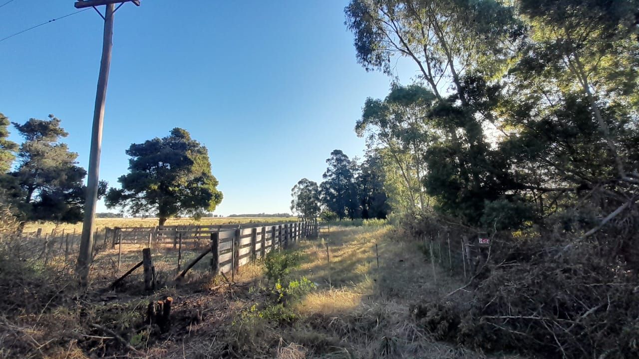 Campo EN VENTA