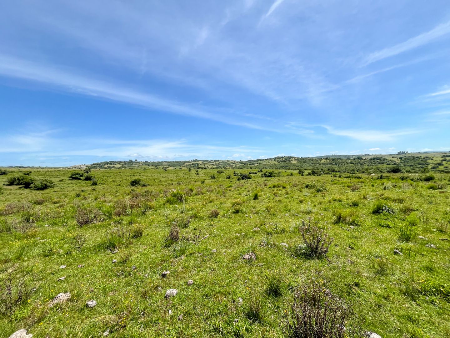 Campo EN VENTA
