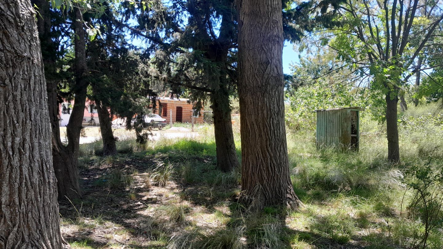 Lote en Venta en Punta Indio, Buenos Aires Interior