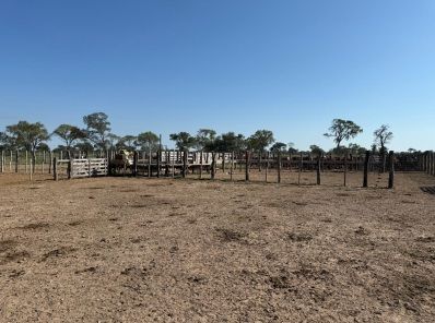 Campo EN VENTA