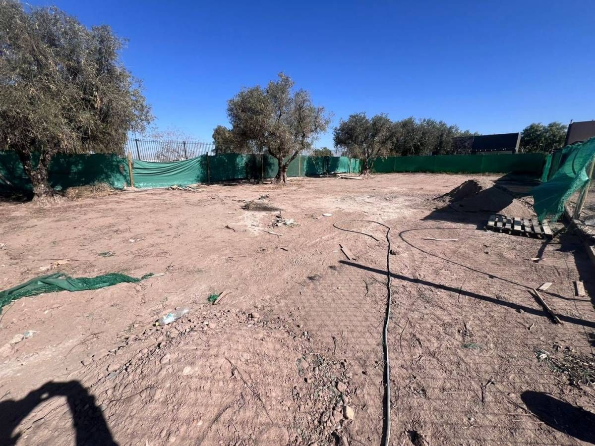 Lote en Venta en Lujan de Cuyo, Mendoza
