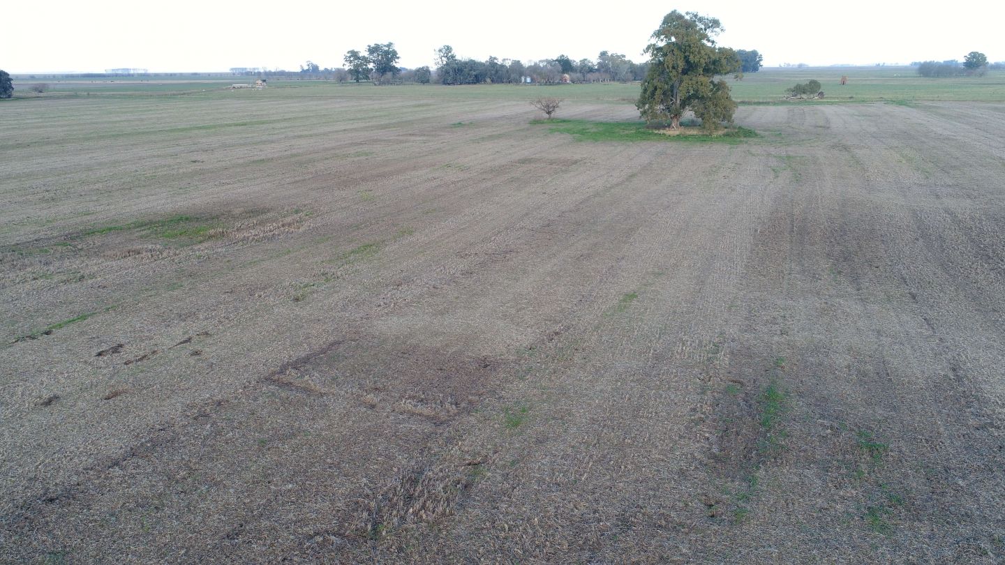 Campo EN VENTA