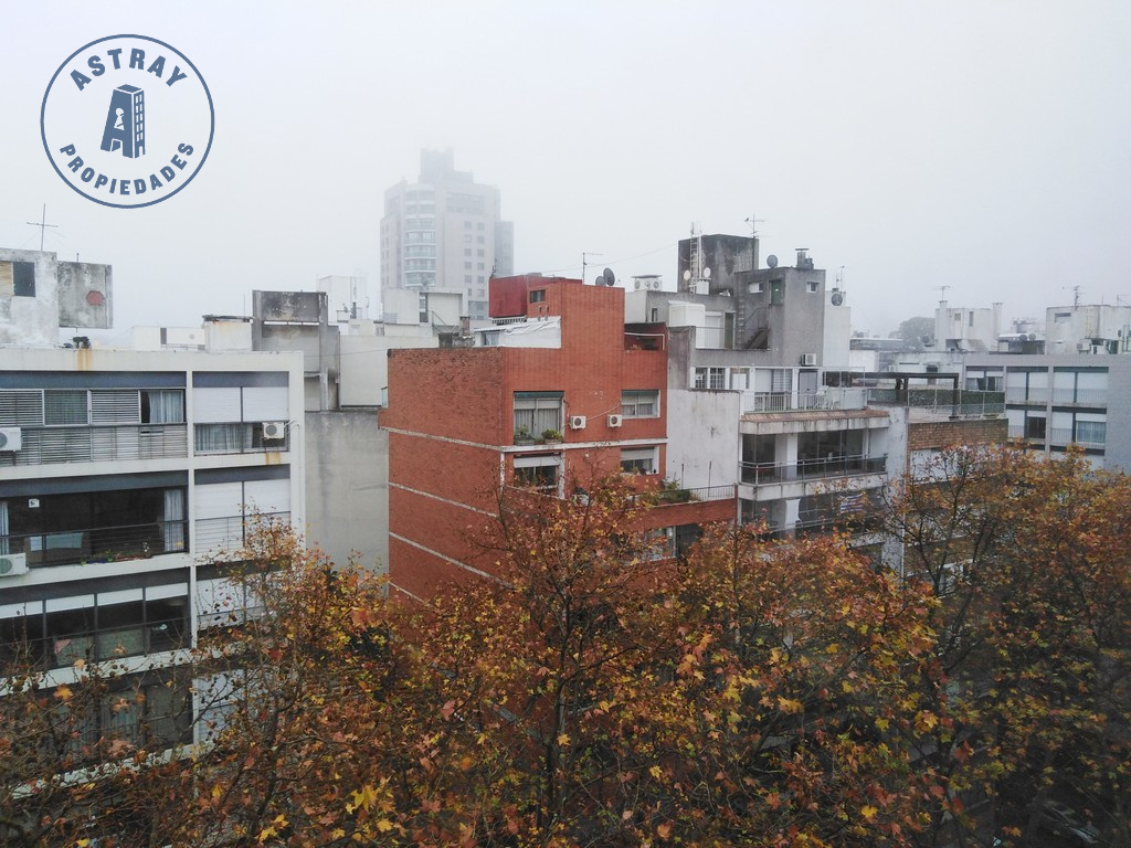 Apartamento en alquiler Pocitos monoambiente