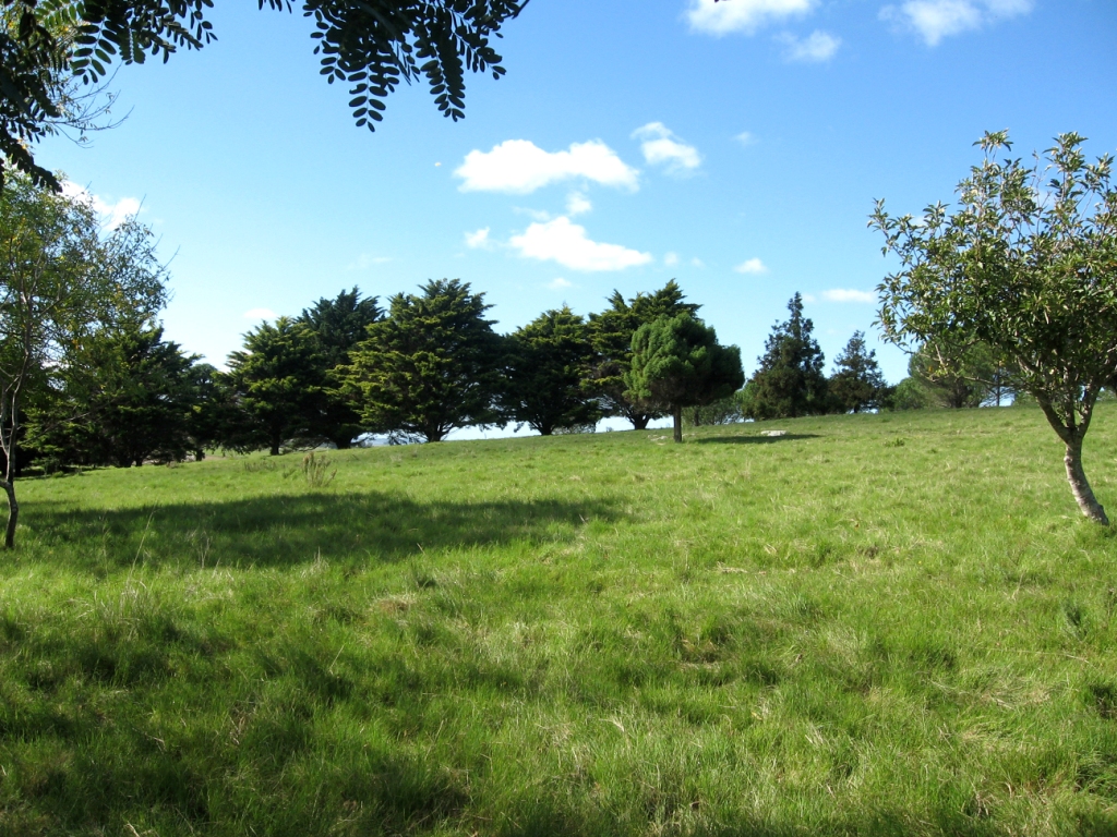 Quinta EN VENTA