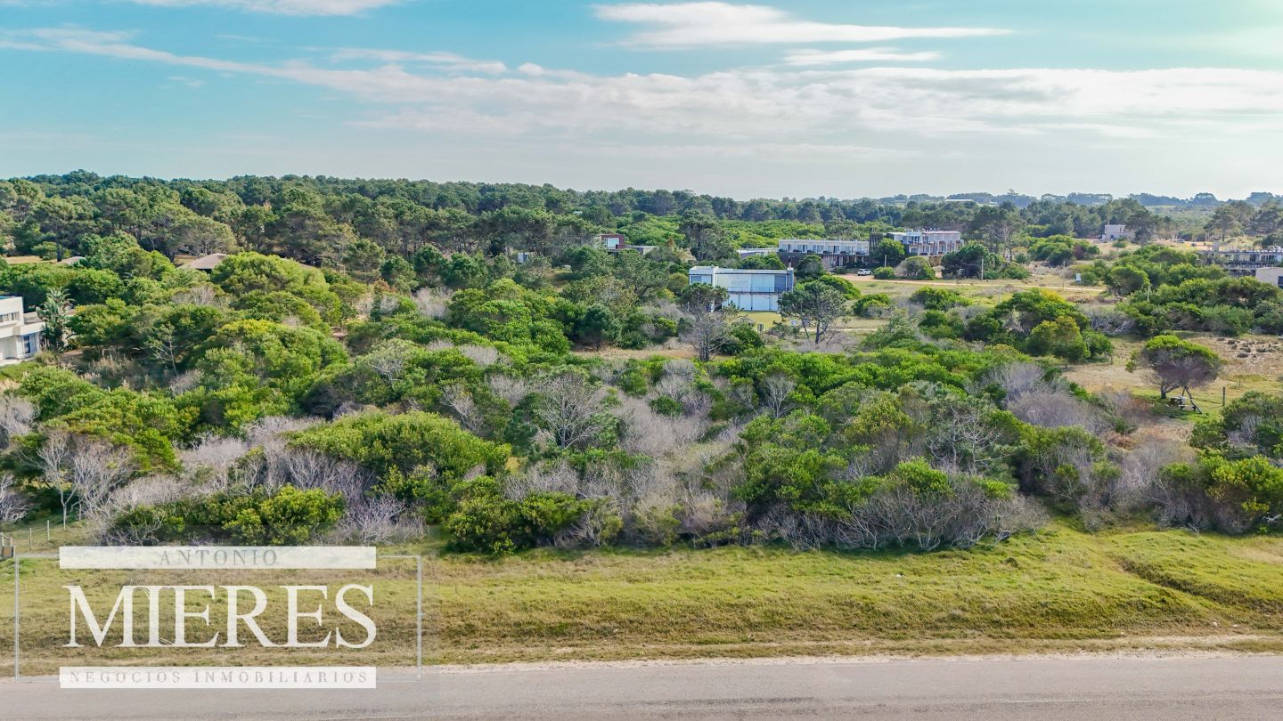 Lote EN VENTA