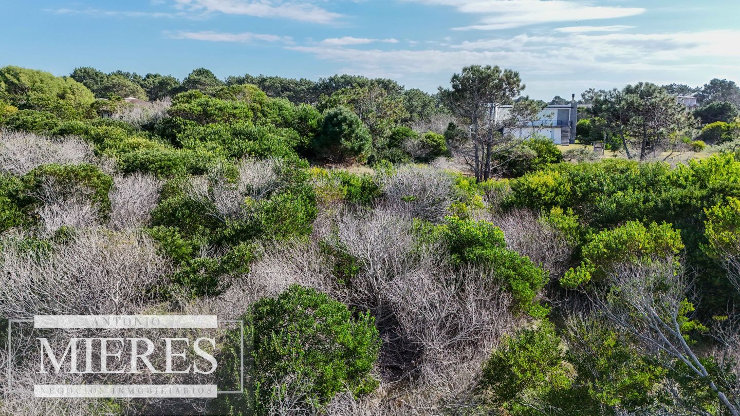 Lote EN VENTA