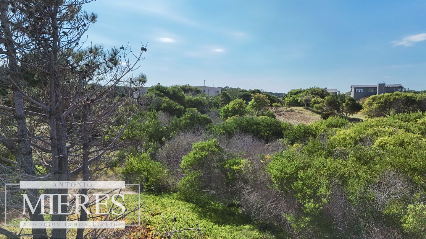 Lote EN VENTA