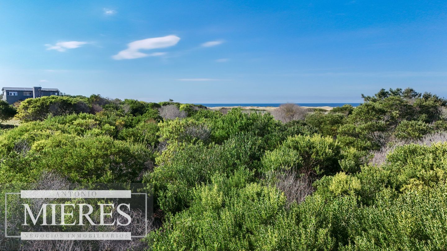 Lote EN VENTA