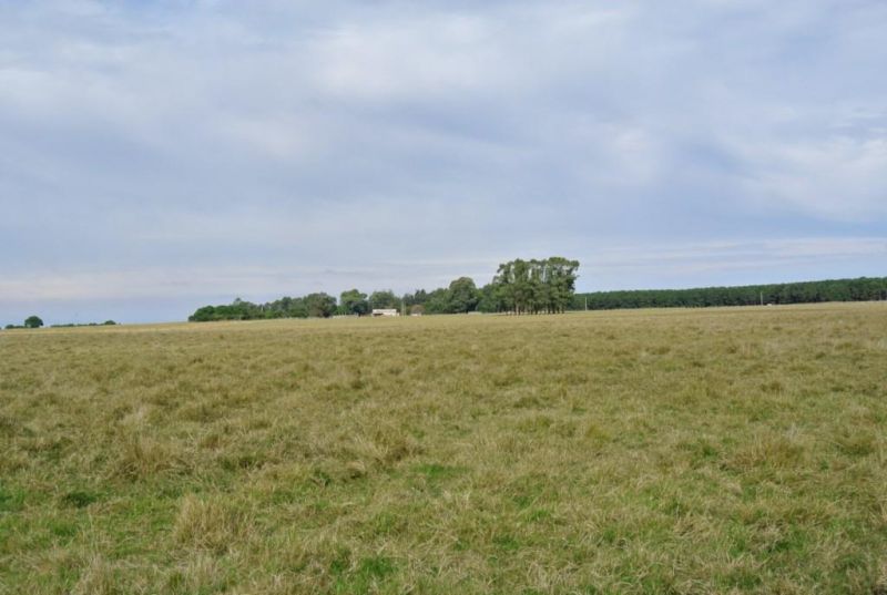 Campo EN VENTA