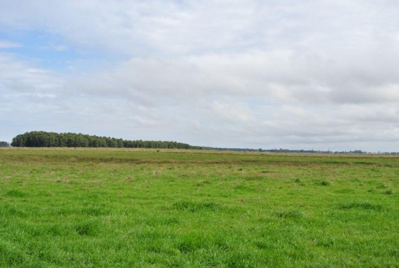 Campo EN VENTA