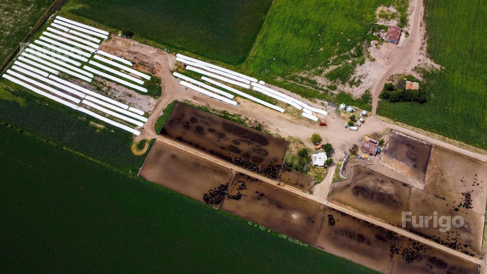 Campo en Venta en Rosario, Santa Fe