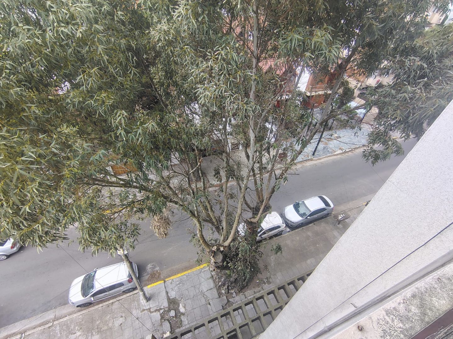 Imagen 10