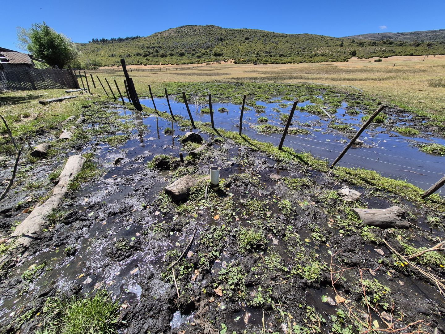 Campo EN VENTA