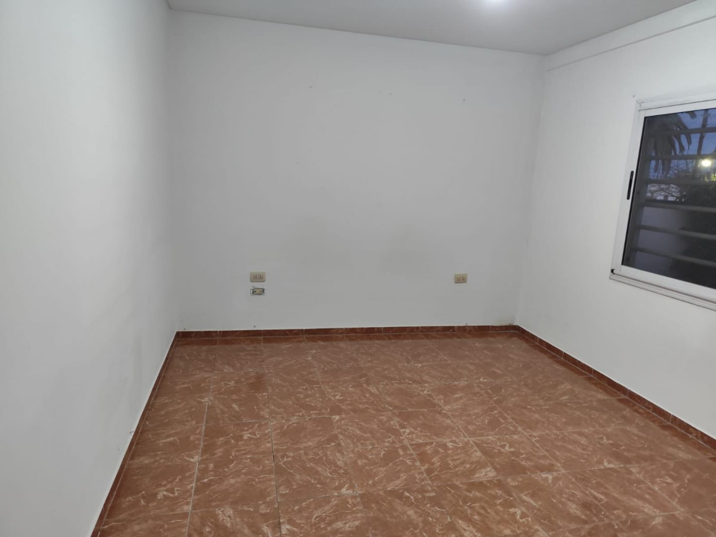Imagen 12