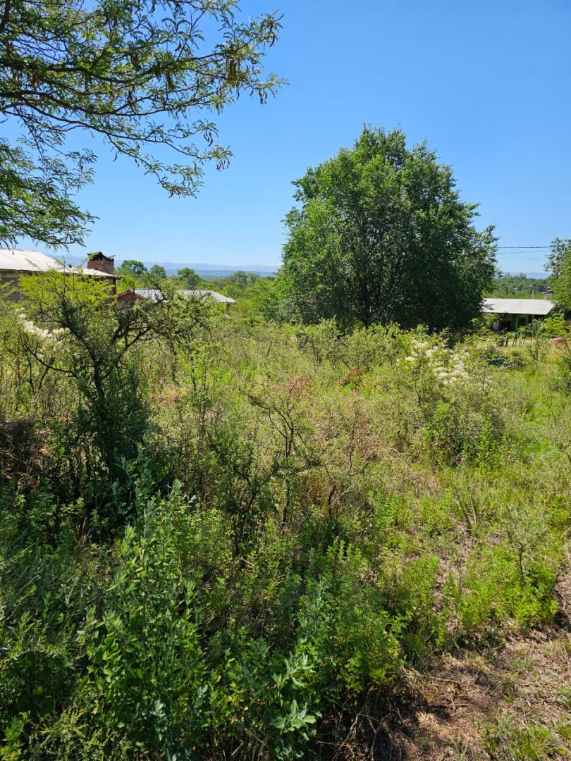 Lote EN VENTA
