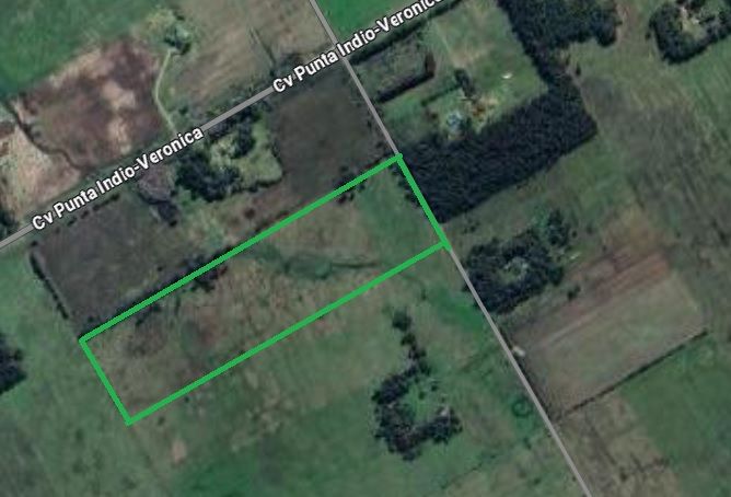 Campo EN VENTA