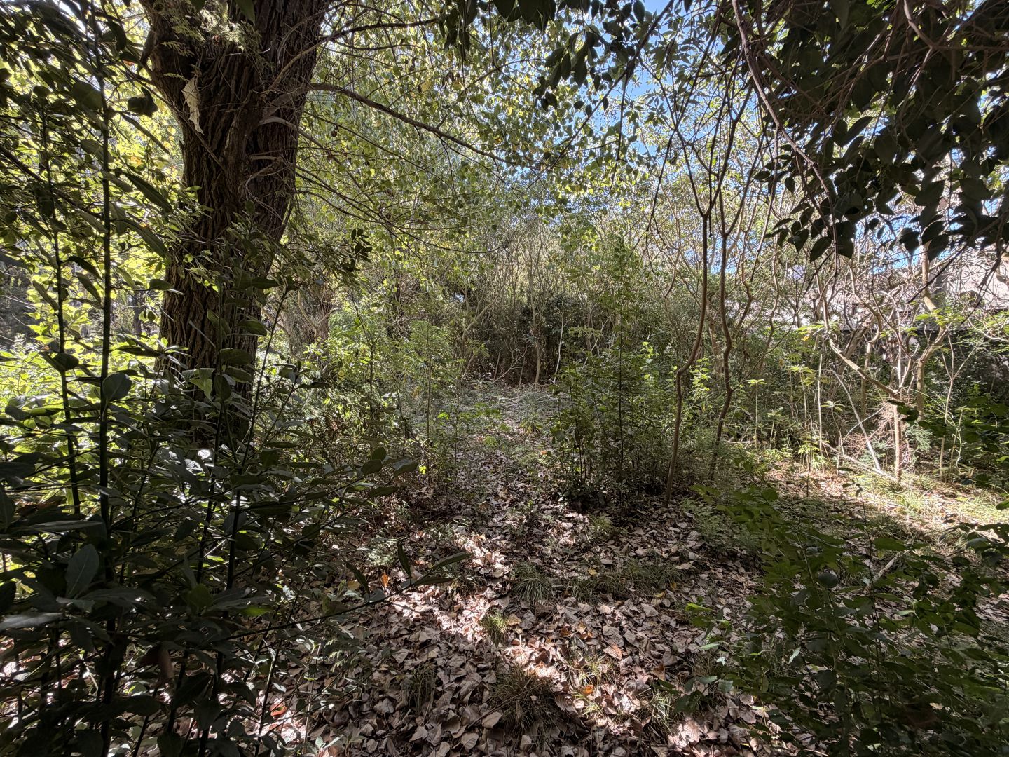 Lote EN VENTA